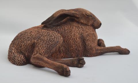 sunbathing hare