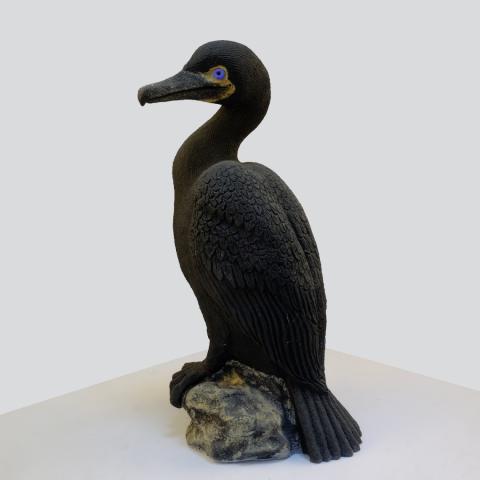 standing cormorant