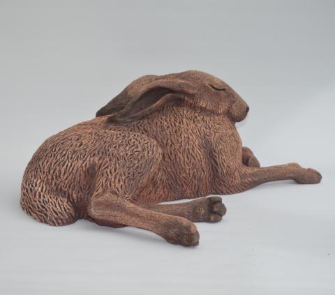 sunbathing hare