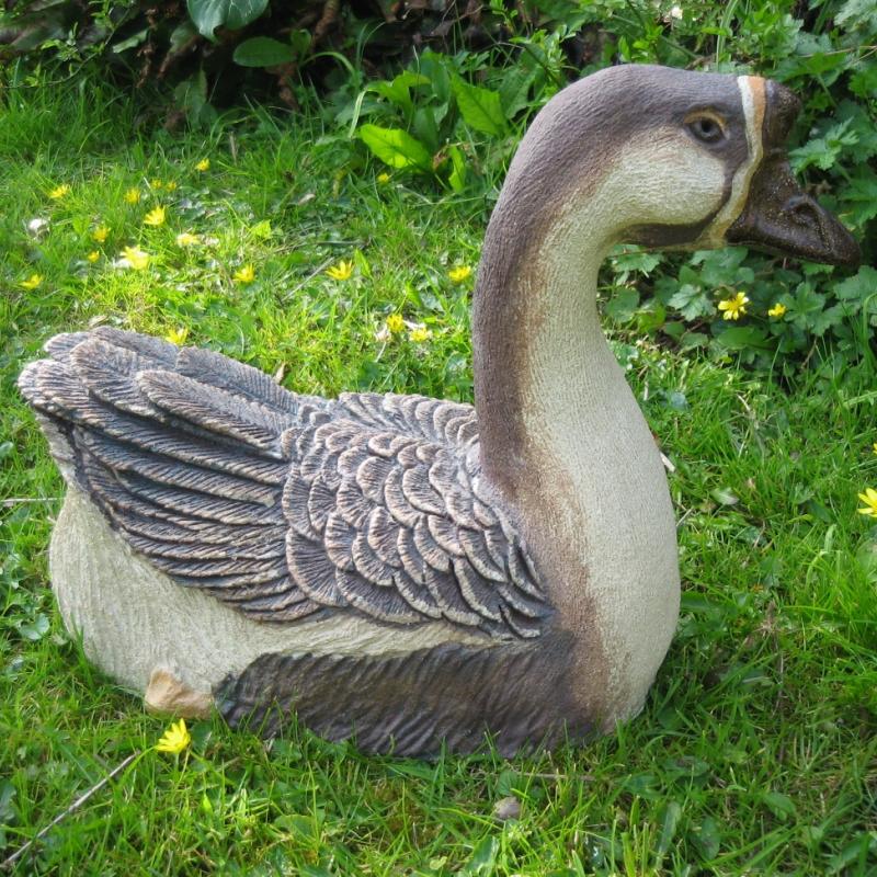 chinese goose