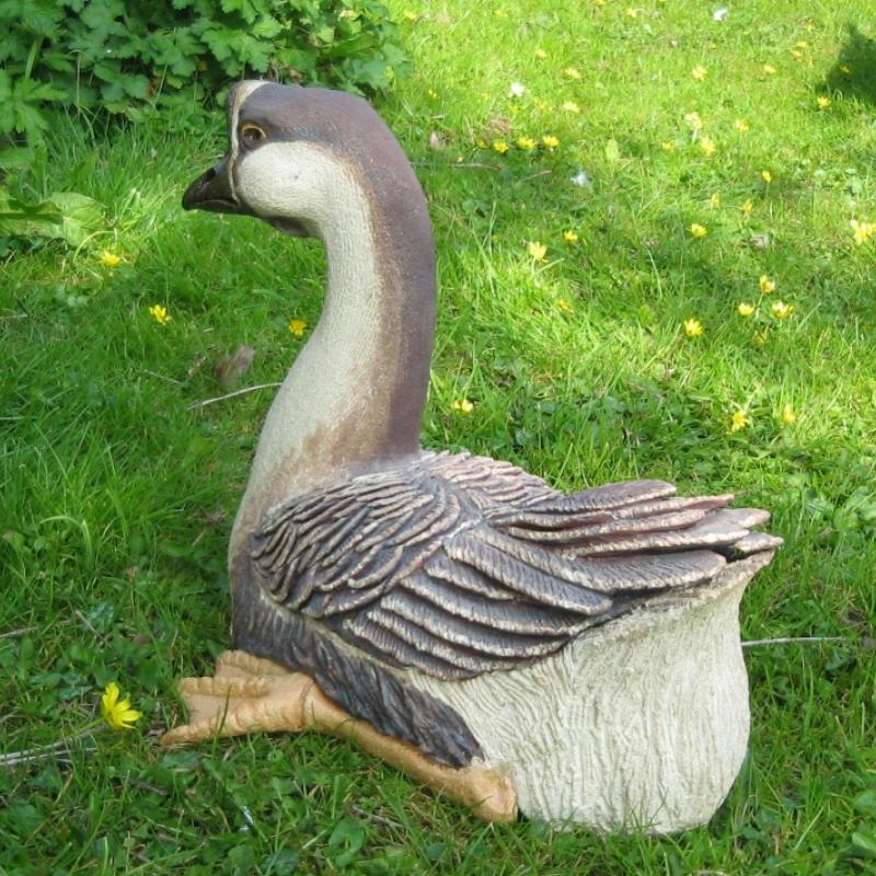Chinese Goose chinese goose
