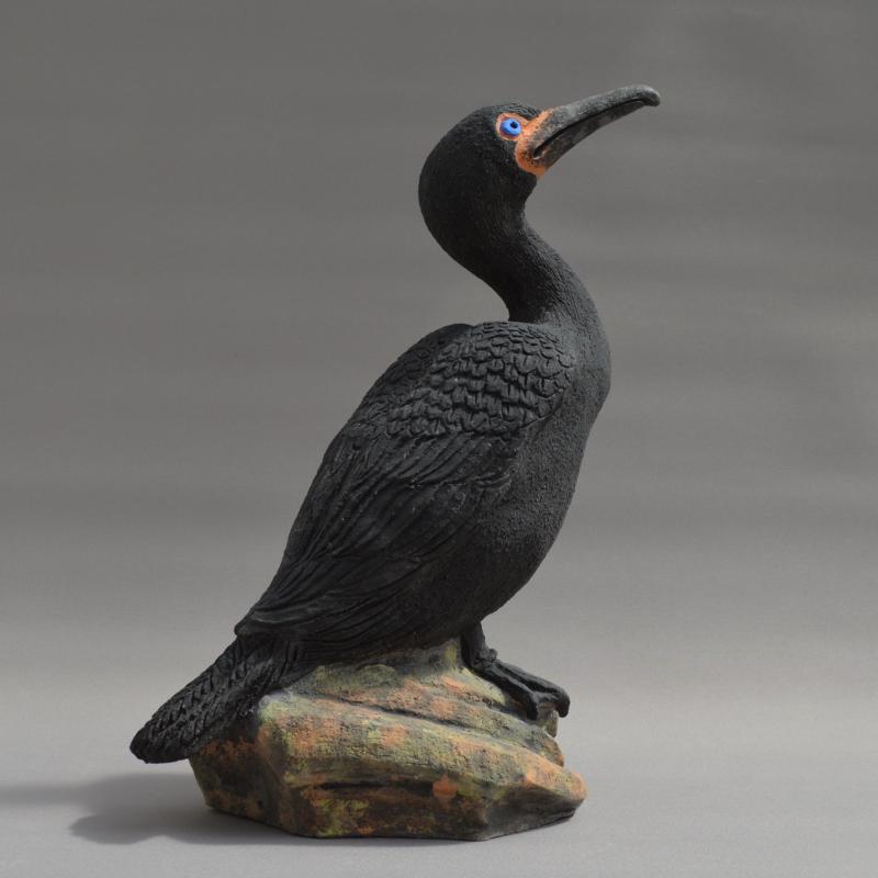 cormorant