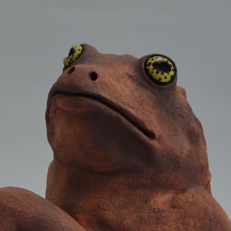 frog with crossed legs