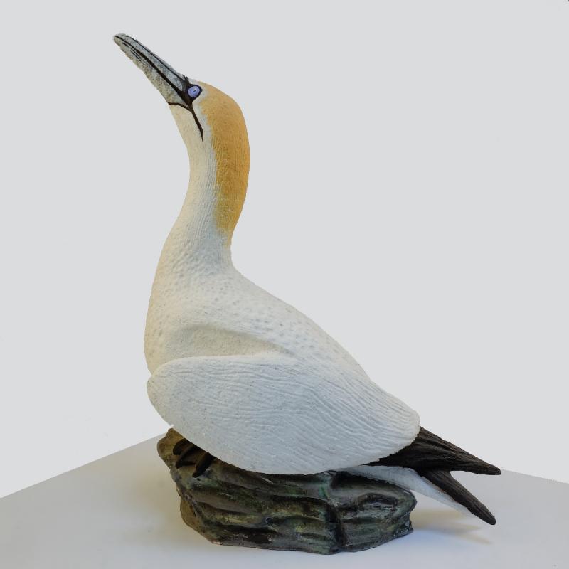 standing gannet