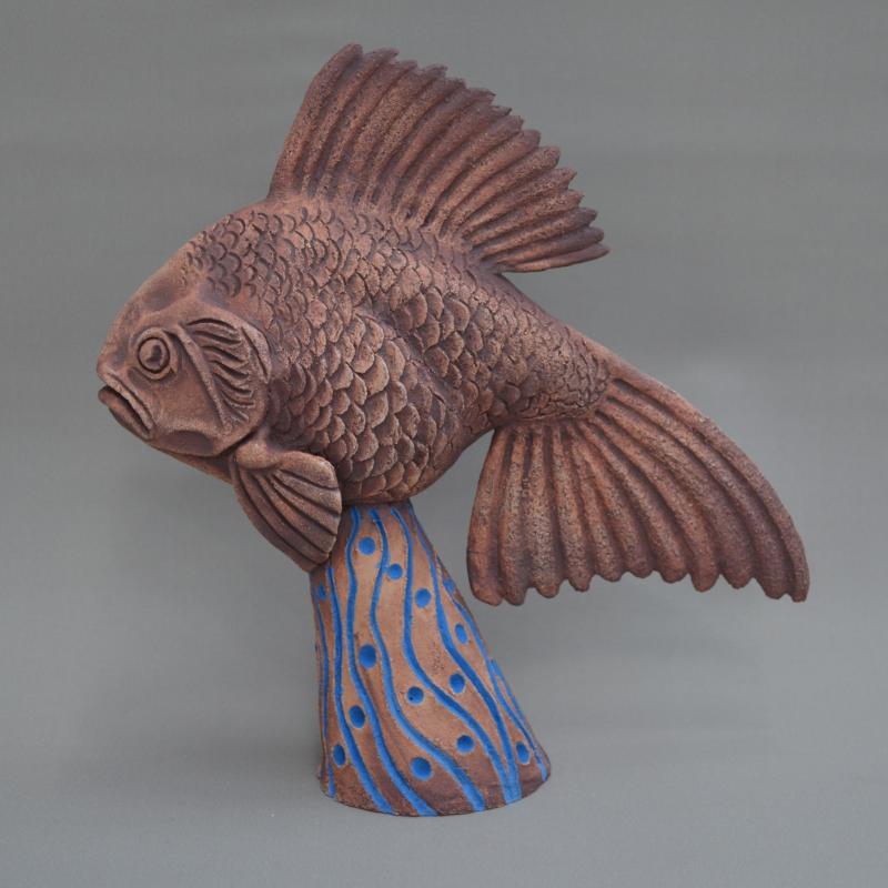 a goldfish
