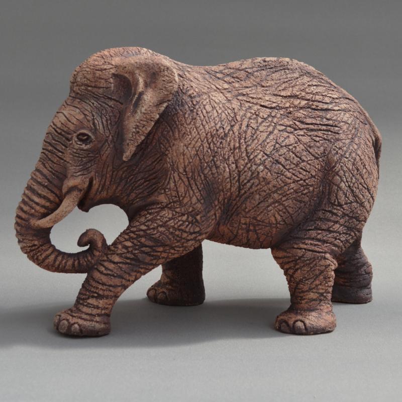 an indian elephant