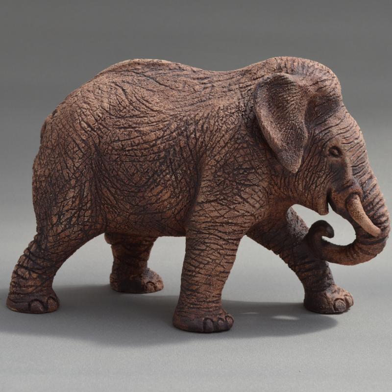 an indian elephant