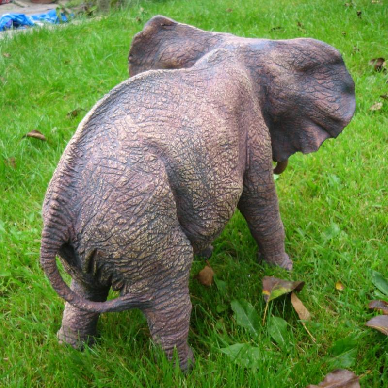 a matriarch elephant