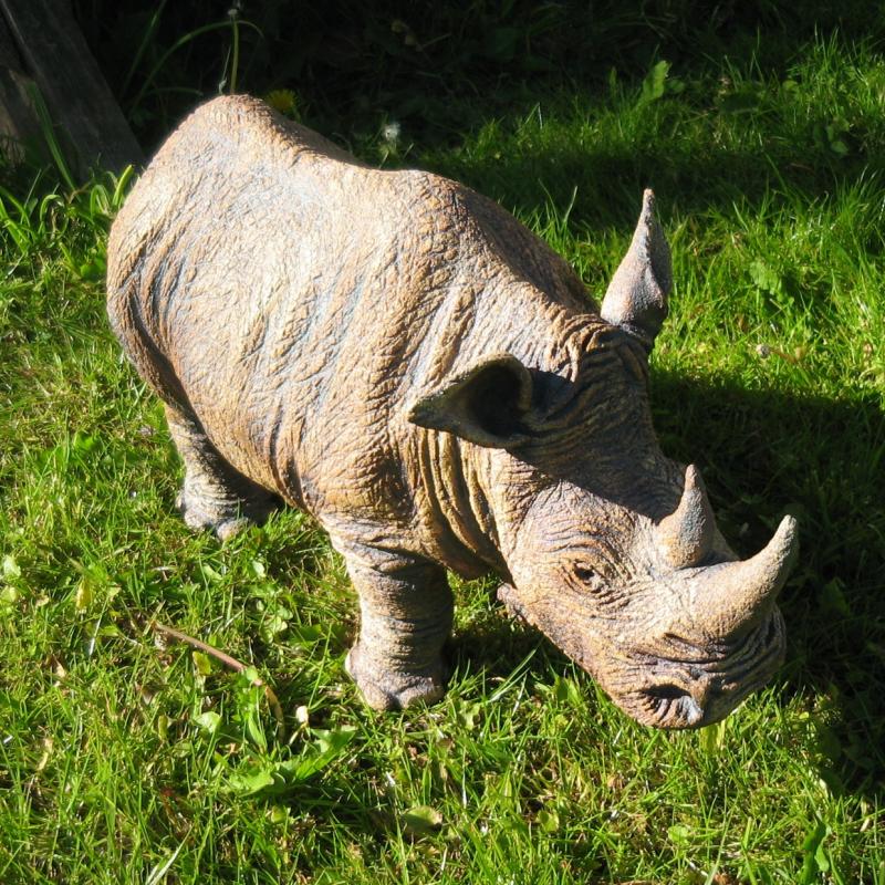 a rhinoceros