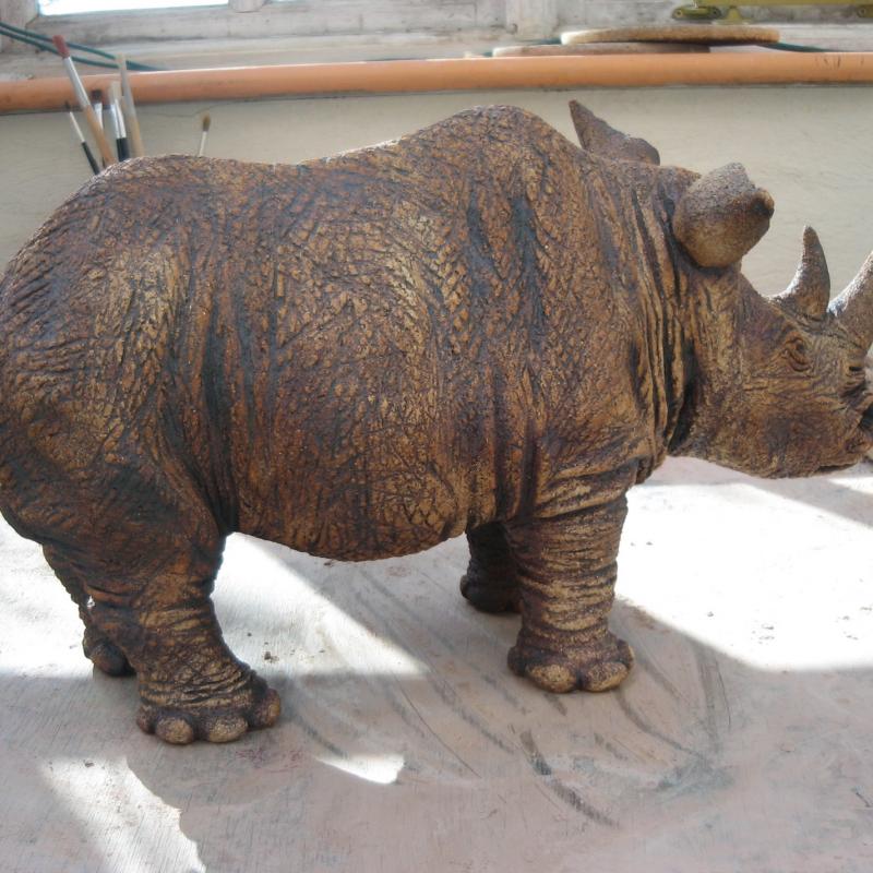 a rhinoceros