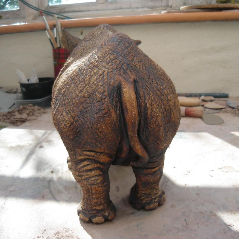 a rhinoceros