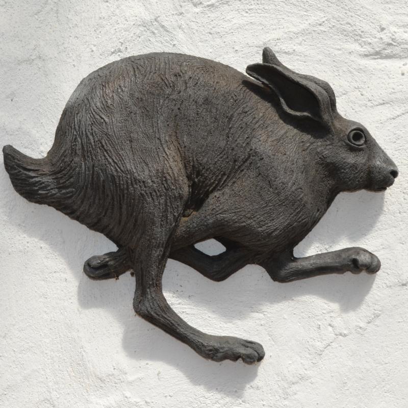 a hare running
