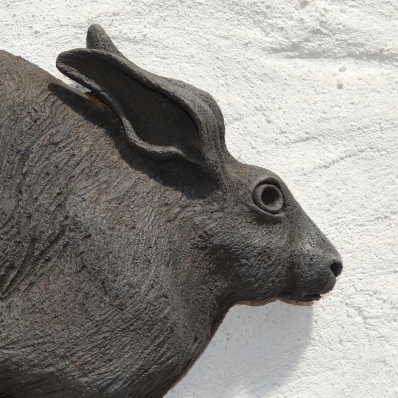 a hare
