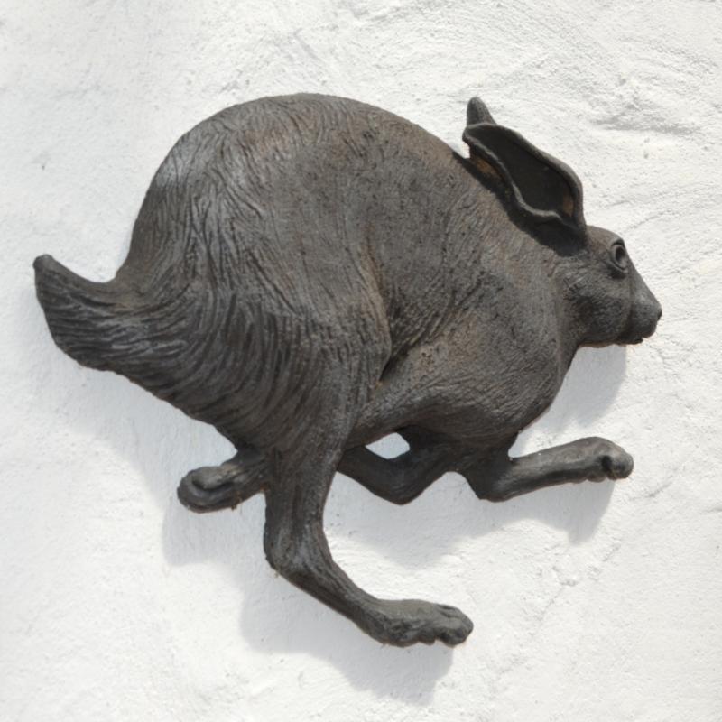 a hare running