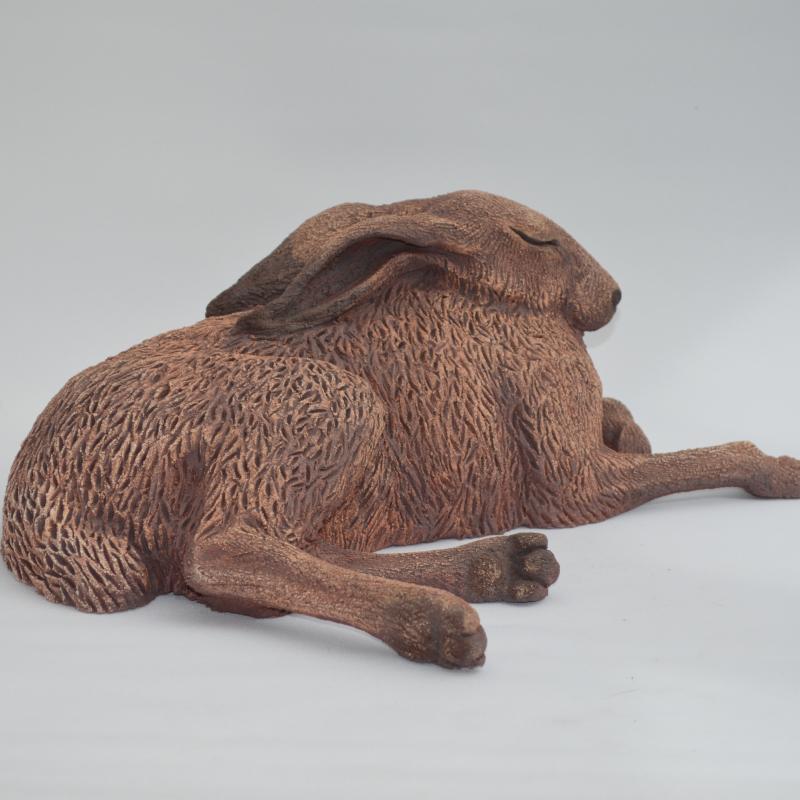 sunbathing hare