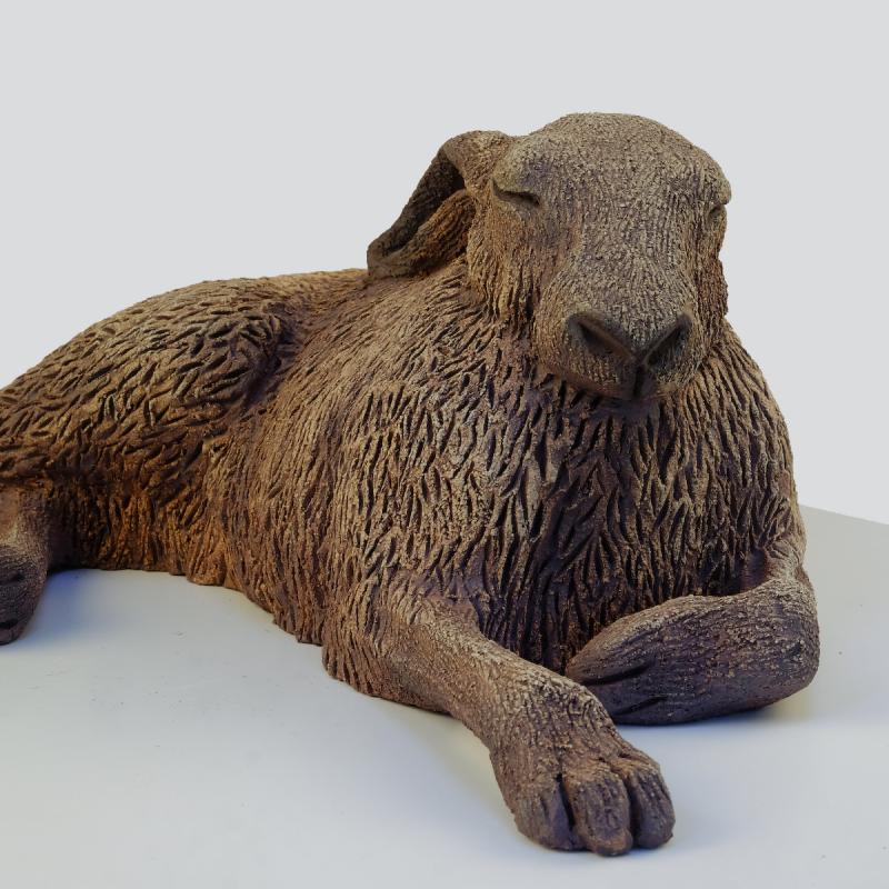 sunbathing hare