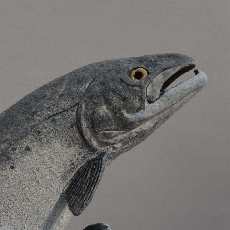 salmon