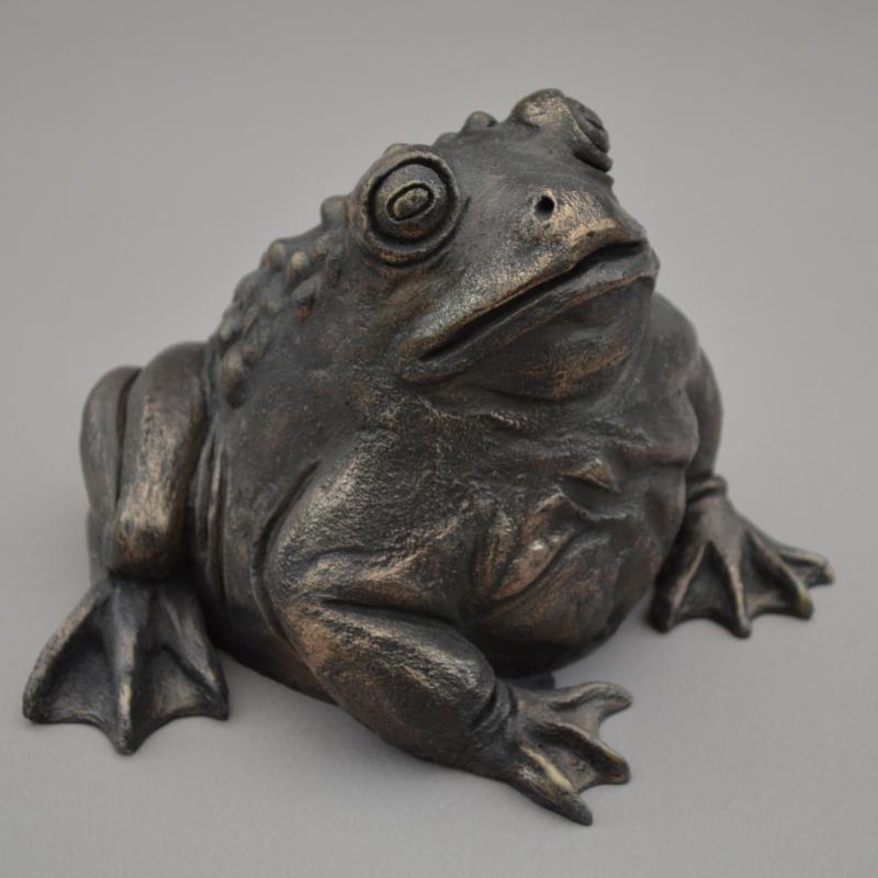 a toad