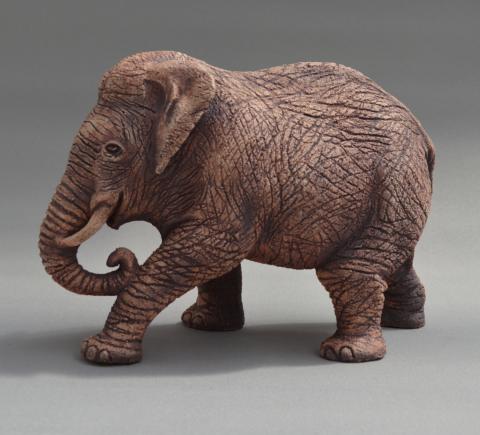 an indian elephant