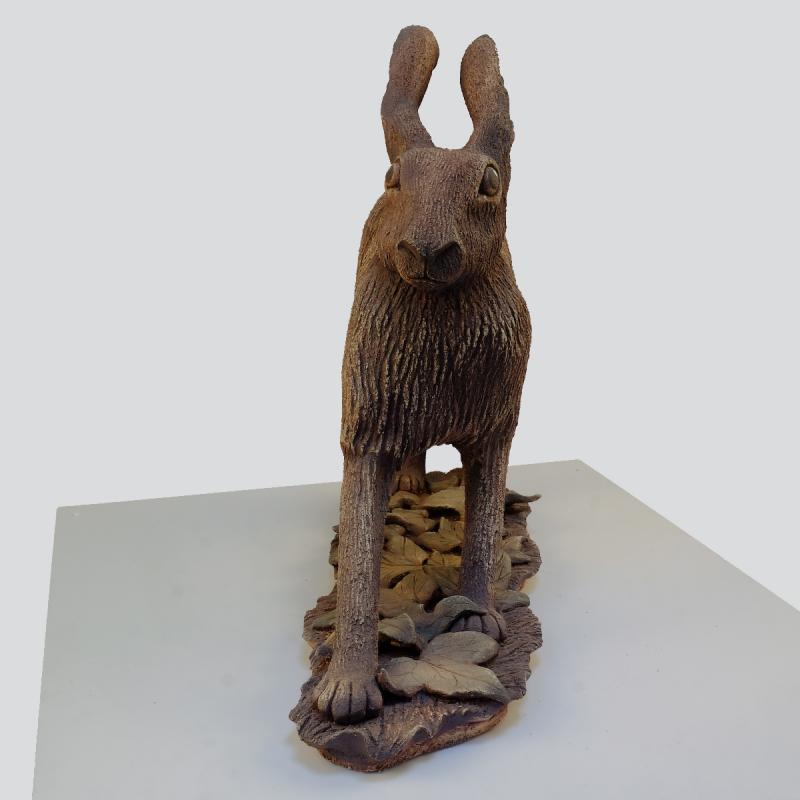 standing hare